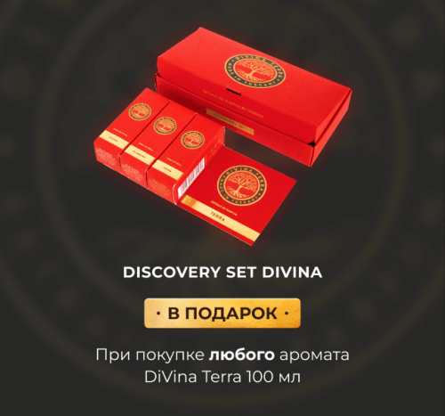 Discovery set в подарок